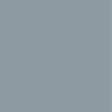 Gris argent (RAL 7001)