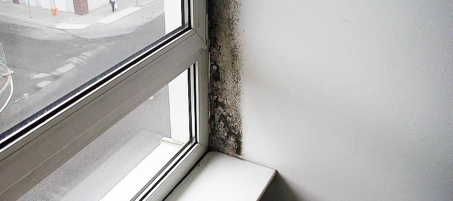 Moisissure dans les cadres de fenêtres : l'éviter et la prévenir